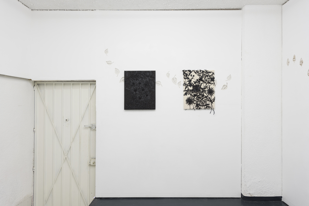 Michael assiff ozone flowers 1