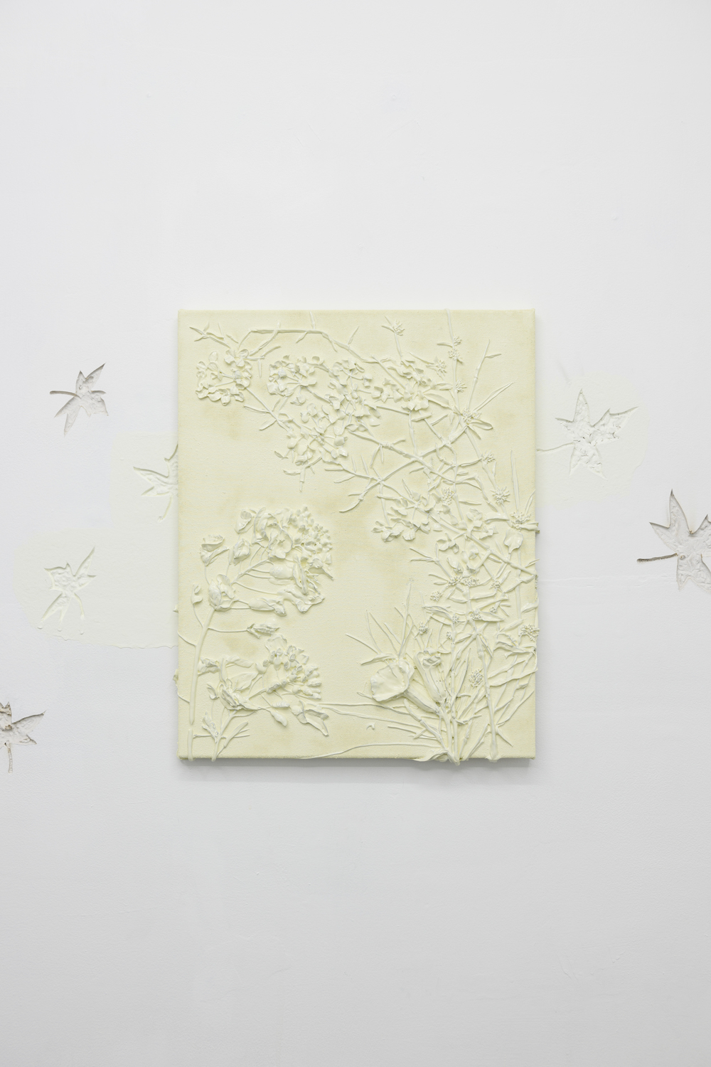 Michael assiff ozone flowers 13