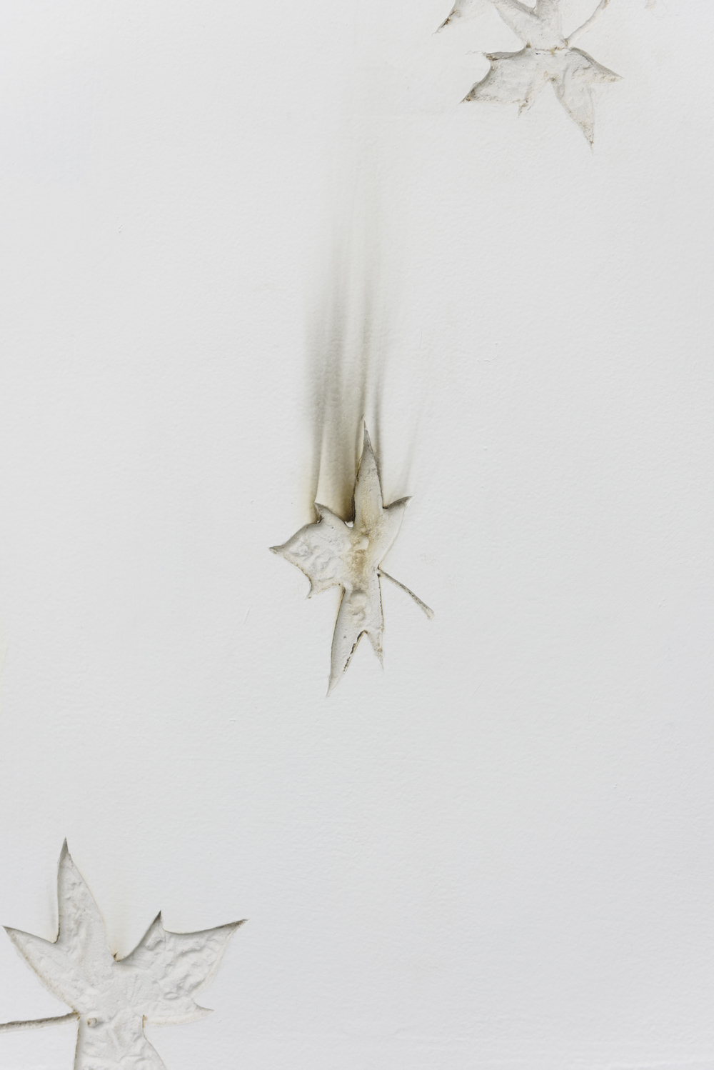 Michael assiff ozone flowers 14