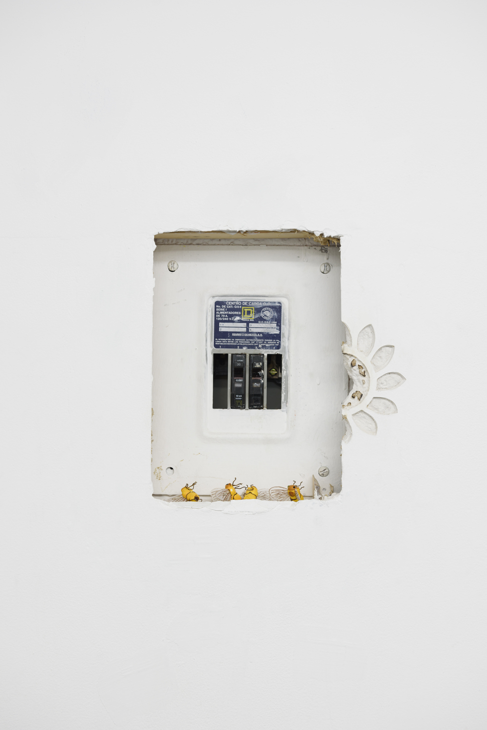 Michael assiff ozone flowers 17