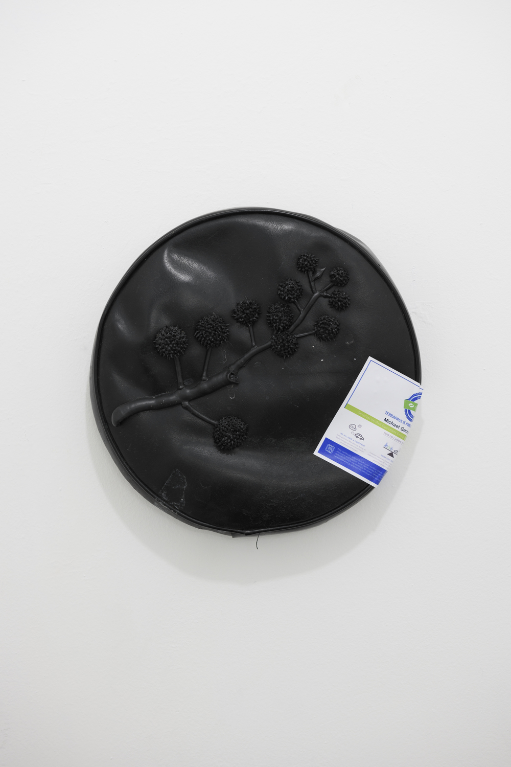 Michael assiff ozone flowers 18