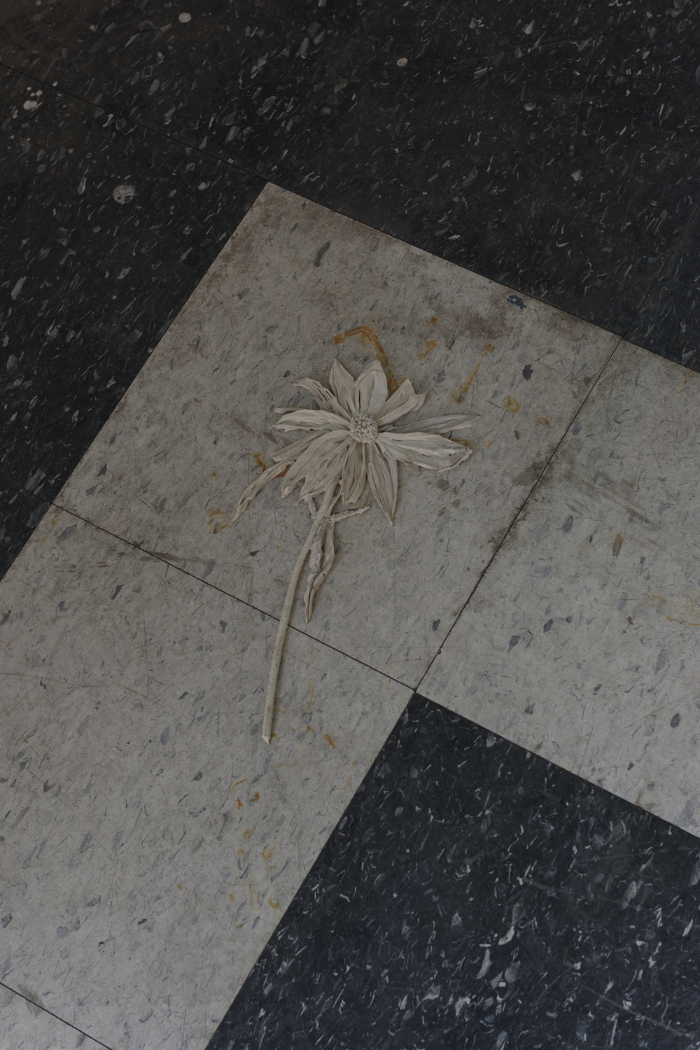 Michael assiff ozone flowers 29