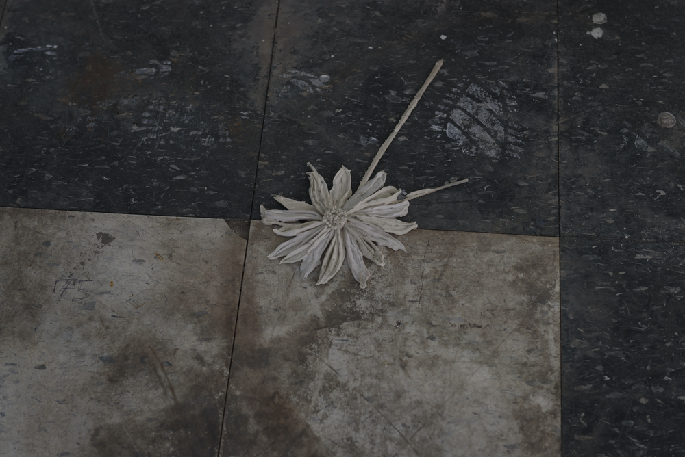 Michael assiff ozone flowers 30